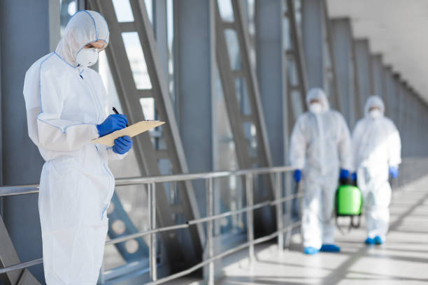 Trusted Allendale, NJ Mold Removal Experts